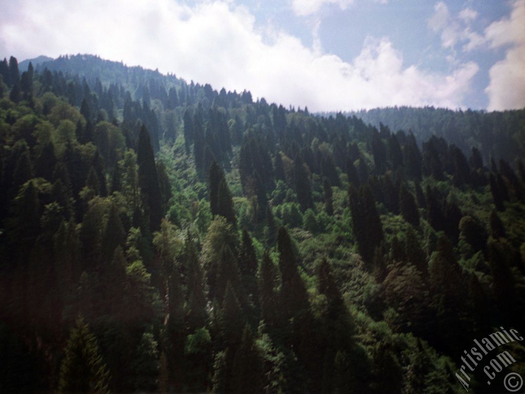 View of Ayder high plateau and spa located in Rize city of Turkey.

